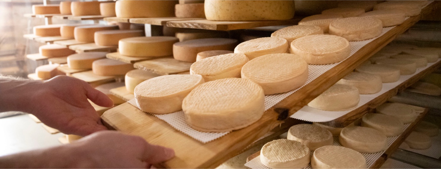 Käse auf Käsebrettern