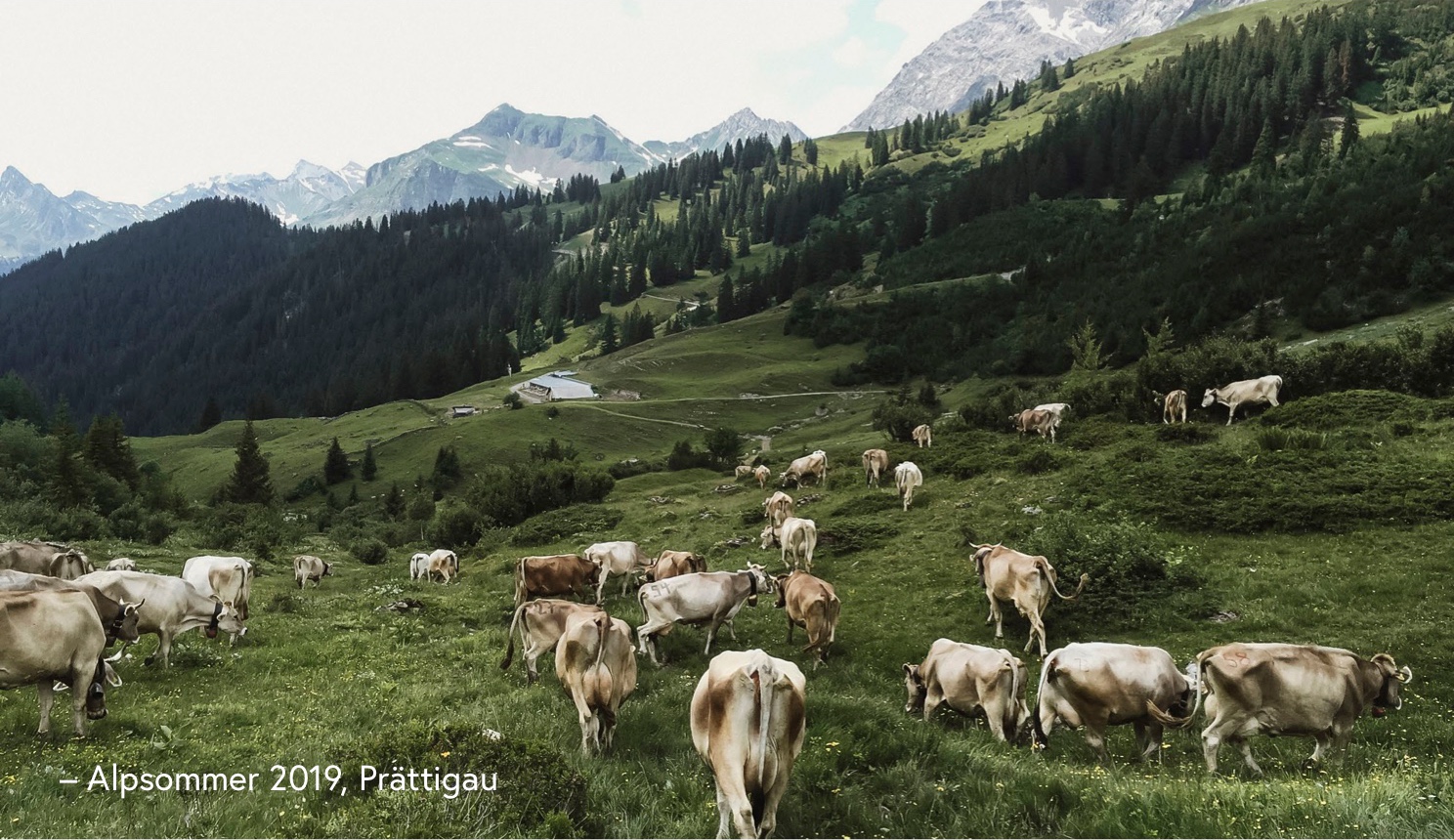 Alpsommer 2019 im Prättigau