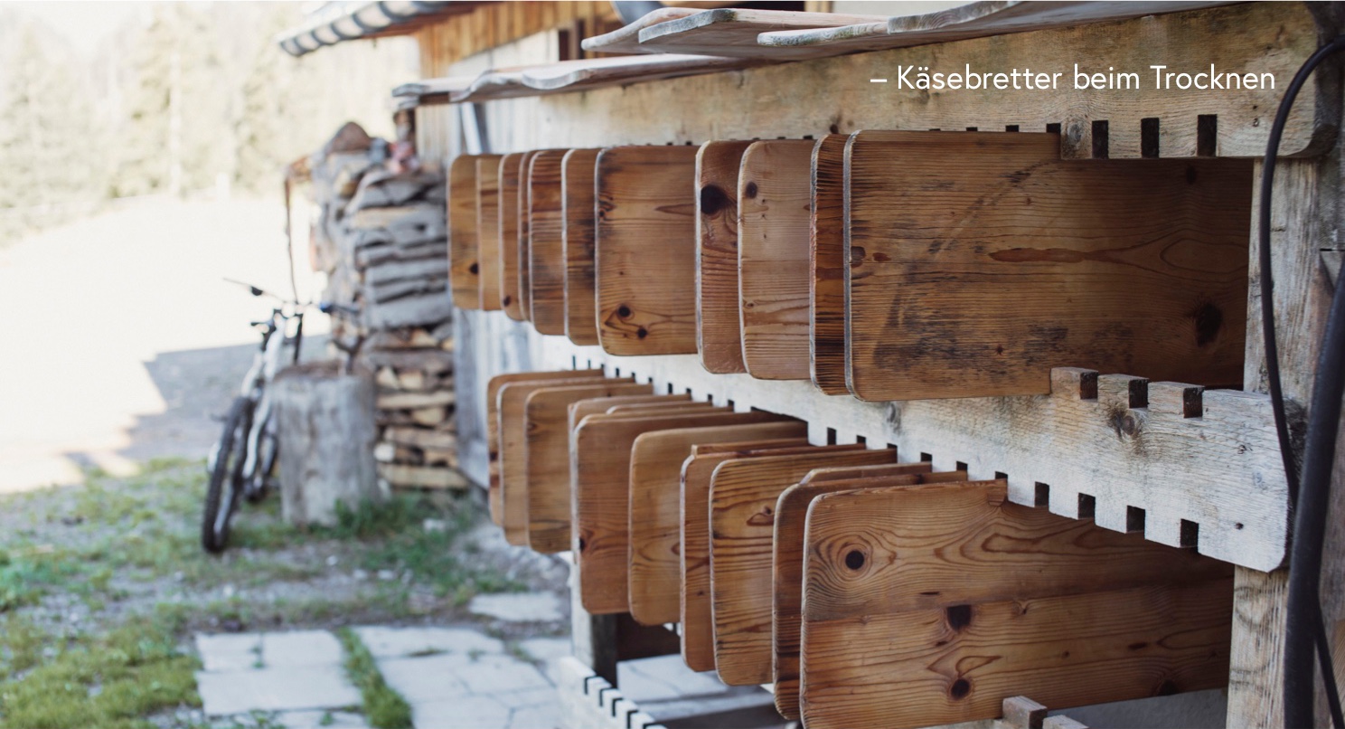 Käsebretter beim trocknen